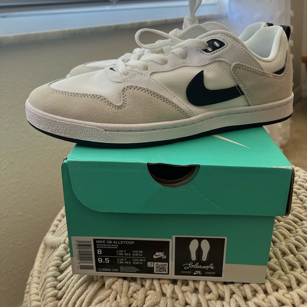 Nike Skateboard Shoes